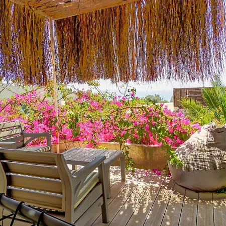 Hotel Oza Boutique *